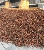 Corteza de pino EXTRA a granel