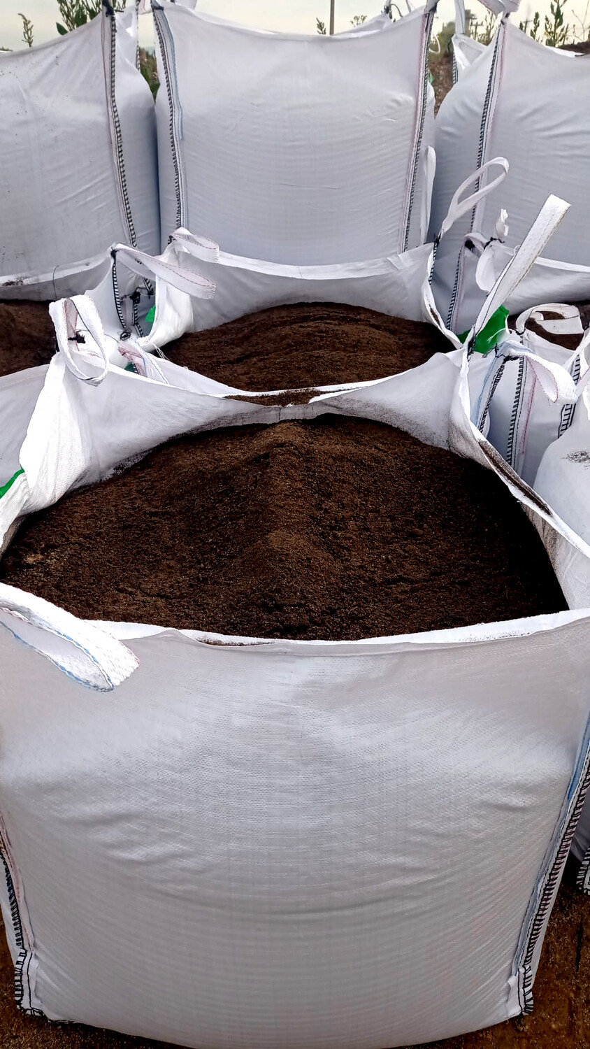 ¿Qué es el recebo? ¿Qué debo saber del recebo?