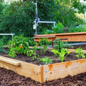 Huertos escolares por menos de 1000 euros