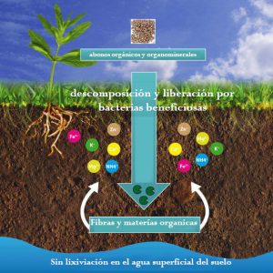 Sustratos fertilizantes orgánicos y micro vida