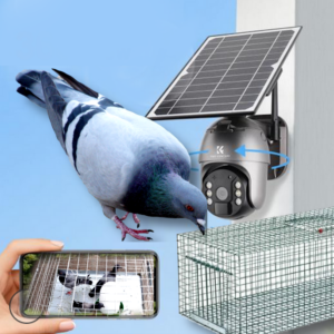Jaula captura de palomas con videovigilancia + IA